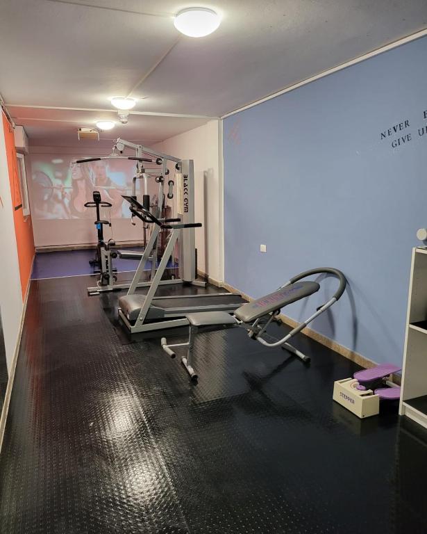Fitness centrum a/nebo fitness zařízení v ubytování Hotel Viscount
