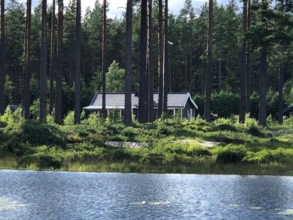 a house in the woods next to a lake at Modern lakeside cottage & boat near Isaberg in Kävsjö