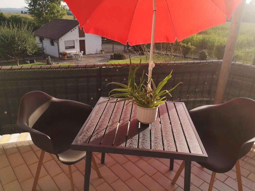 einem Holztisch mit einer Topfpflanze und einem roten Regenschirm in der Unterkunft Ferienwohnung im Grünen, 10 km RV, 30 km Bodensee, Küche Bad Balkon in Mochenwangen