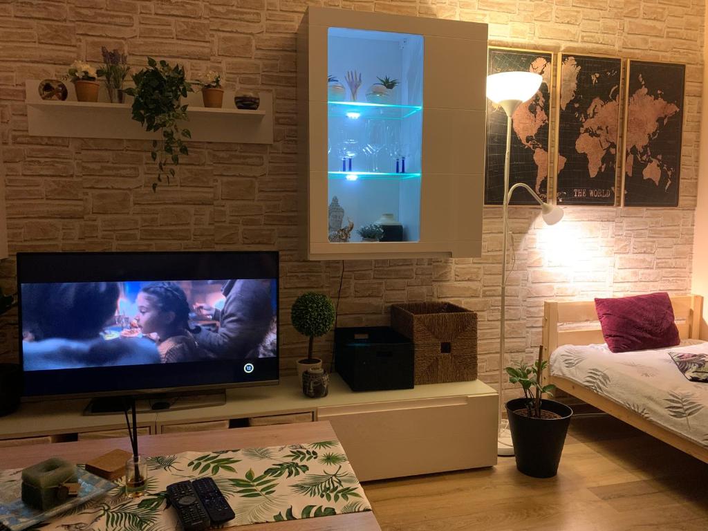 Televízia a/alebo spoločenská miestnosť v ubytovaní Apartment Simon