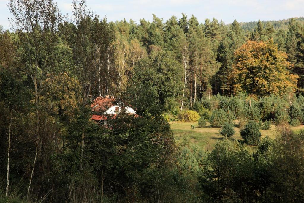 Příroda nedaleko farmy