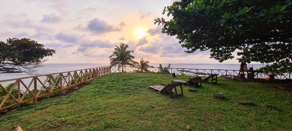 Gombela Ecolodge and Farming في ساو توميه: حديقة مع مقاعد على العشب بالقرب من المحيط