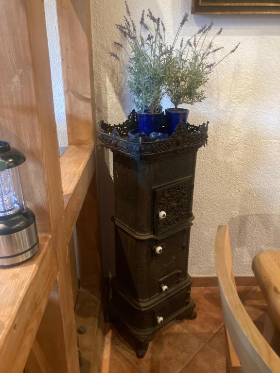 Fotografie z fotogalerie ubytování Haus am Wald v destinaci Rudolstadt