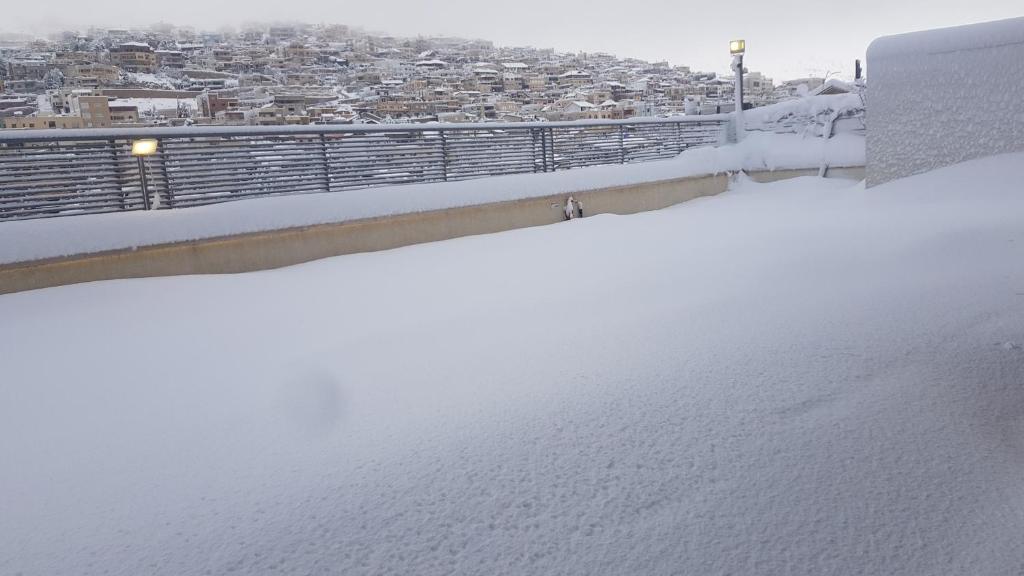 Snow View Suite סוויטת סנו וויו בחורף