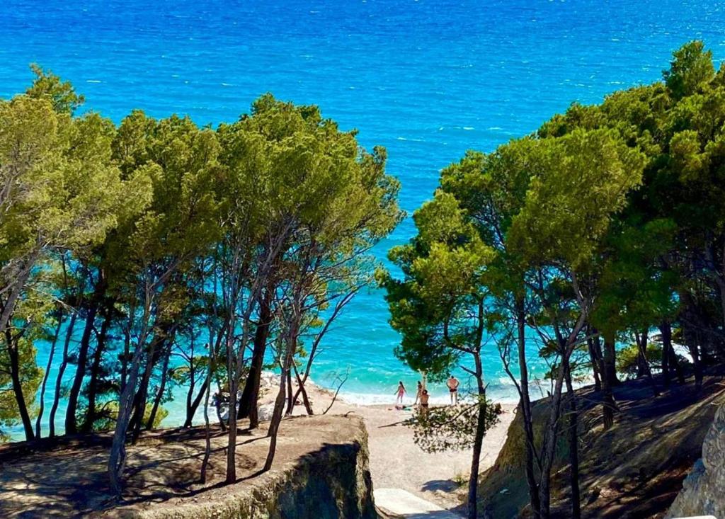 ein Strand mit Bäumen und Menschen, die am Strand spazieren in der Unterkunft Dijamant Apartment in Split