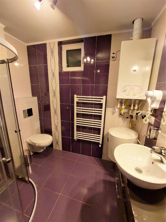 Tribunei Apartment Sibiu - 