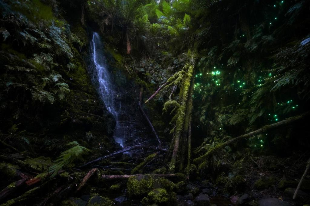 山林小屋周边自然景观