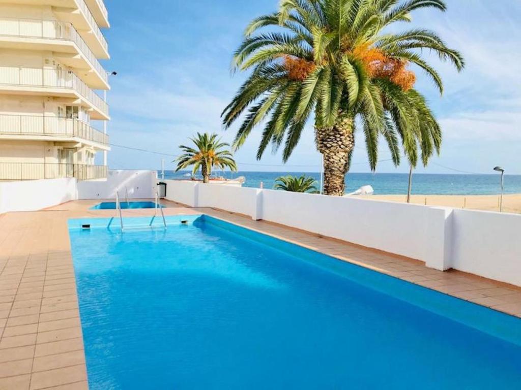una piscina con una palmera y el océano en Investingspain Studio beach paradise front sea views swimming pool, en Platja d'Aro