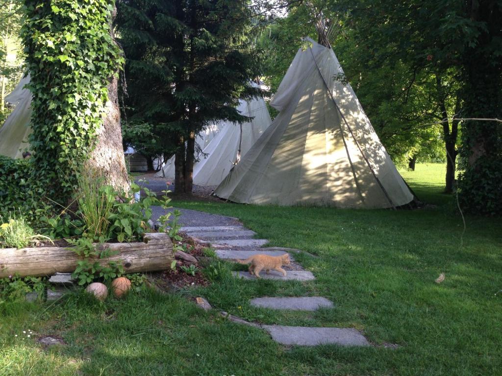Zahrada ubytování Villa Donkey BnB