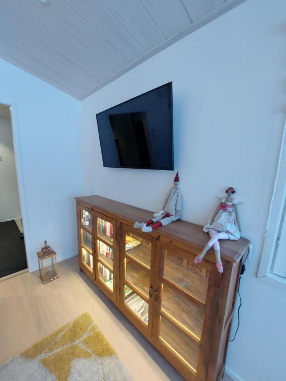 TV a/nebo společenská místnost v ubytování Arctic River Chalet