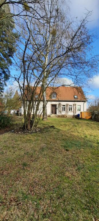 een groot wit huis met een boom in een veld bij Ferienwohnung Landidylle in Wörpen