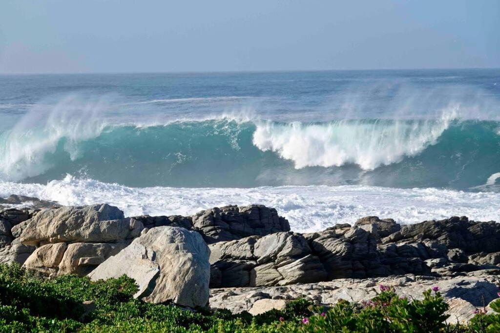 a large wave in the ocean next to some rocks at Whales & Waves in Hermanus