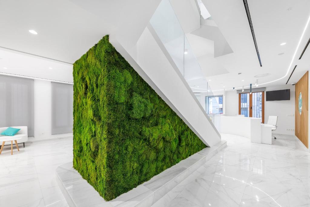 Odyssey Rooms Alicante - Resim 8