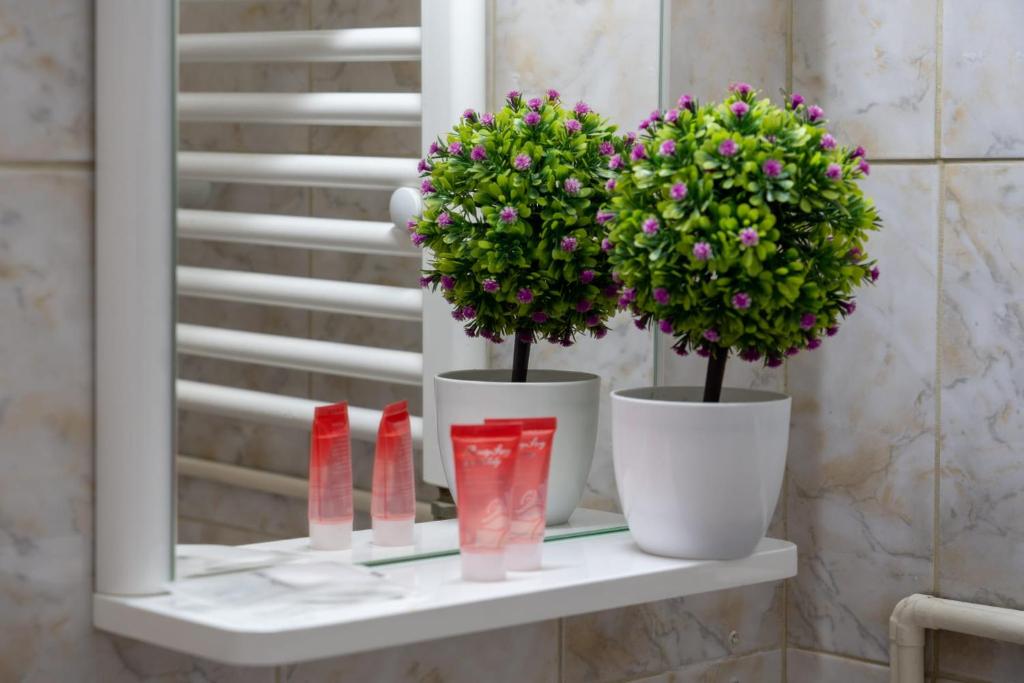 La Casa Nord - Resim 10