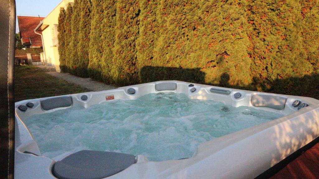 a jacuzzi tub in front of a wall at Mandula Wellness Apartmanház in Harkány