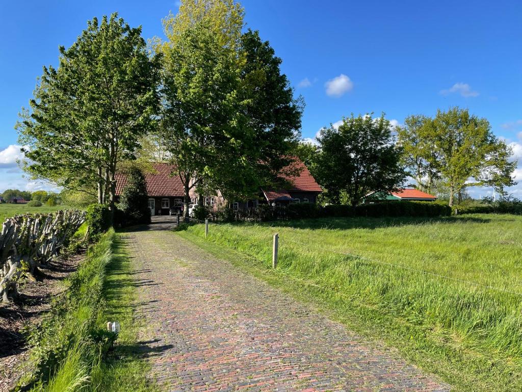 Příroda nedaleko apartmánu