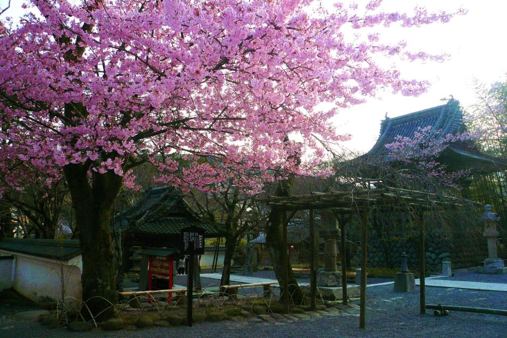 Fotografie z fotogalerie ubytování Sora Togetsusoukinryu v destinaci Izu