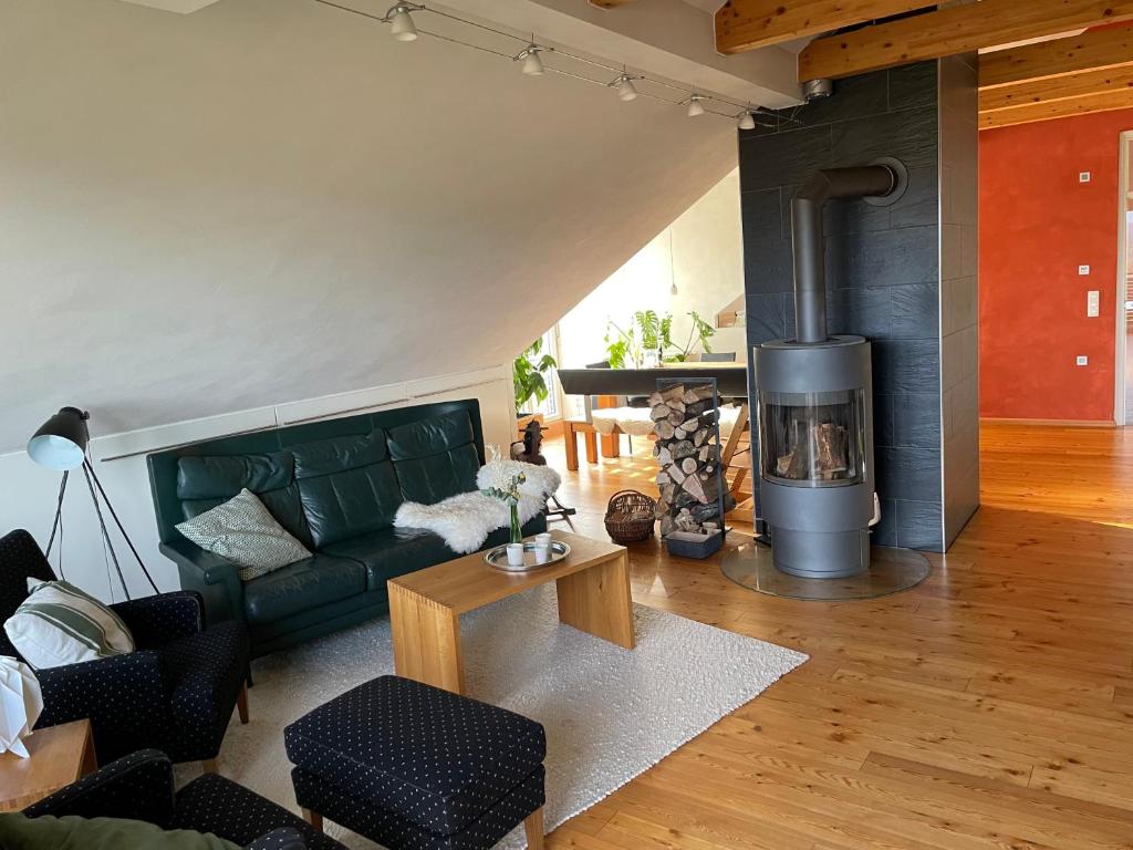 a living room with a green couch and a fireplace at Ferienwohnung Nussbaum-Nest in Hausen