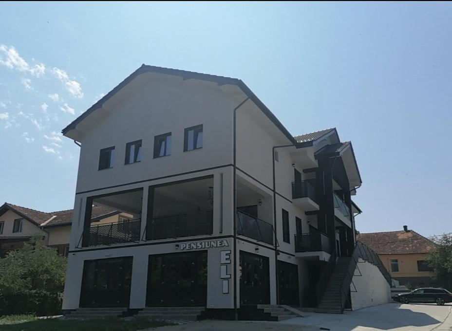 een groot wit gebouw met veel ramen bij Pensiunea Eli in Buziaş