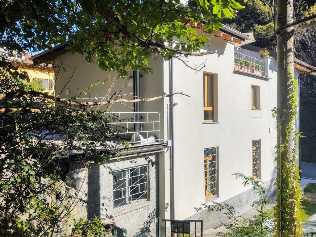 a white building with windows and a tree at Apartment Bilocale by Interhome in Olgiasca