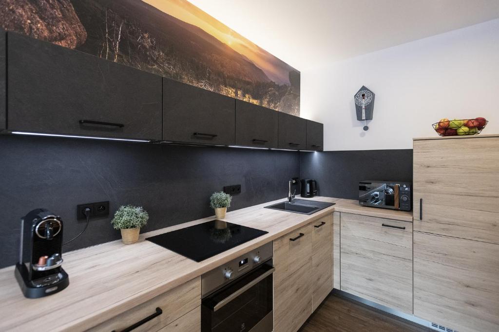 Kuchnia lub aneks kuchenny w obiekcie APARTMÁNY PADESÁTKA - Polední Kameny