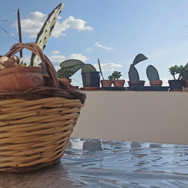 Fotografie z fotogalerie ubytování Ficodindia Rooms v destinaci Sortino