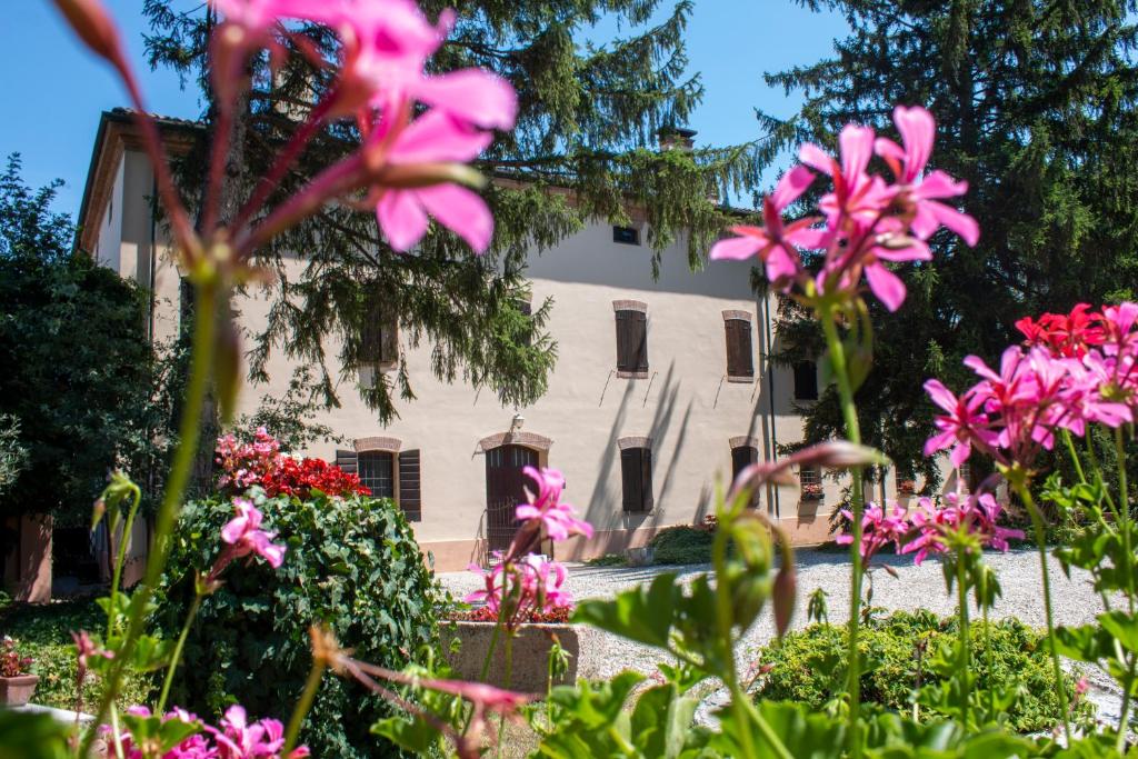 un groupe de fleurs roses devant un bâtiment dans l'établissement B&B Casa Manuela, à Mantoue