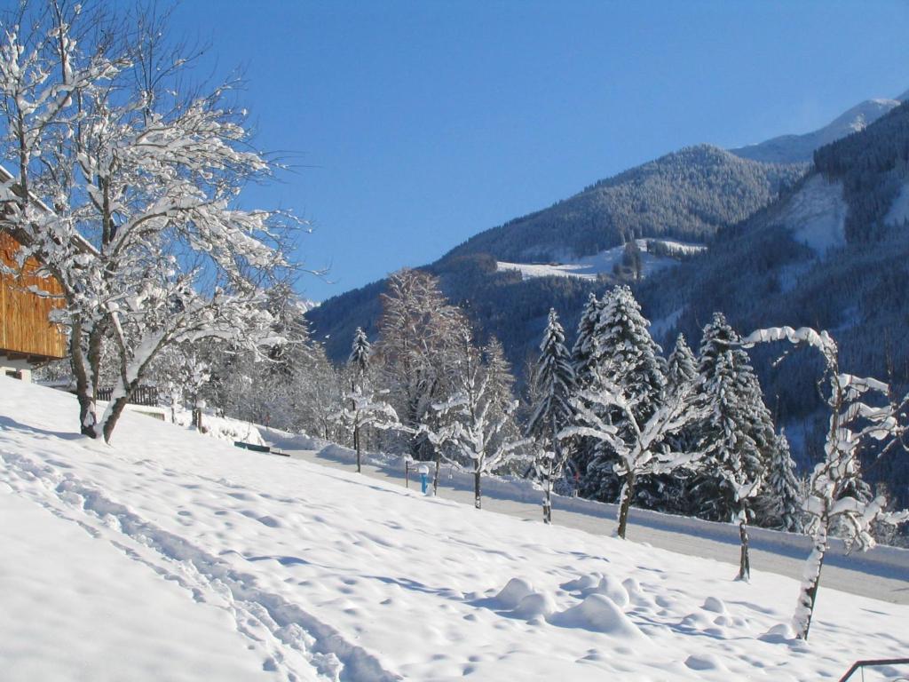 Haus Panorama v zimě