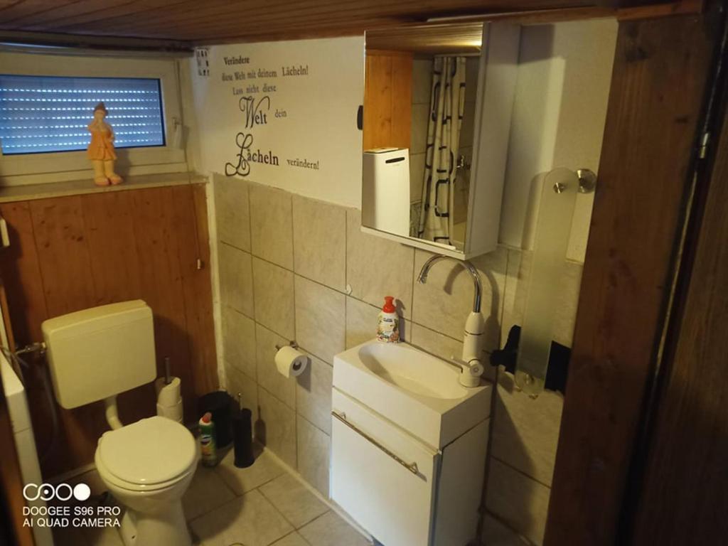 een kleine badkamer met toilet en wastafel bij Ferienwohnung Sleeps 6 with Whirlpool in Olsberg