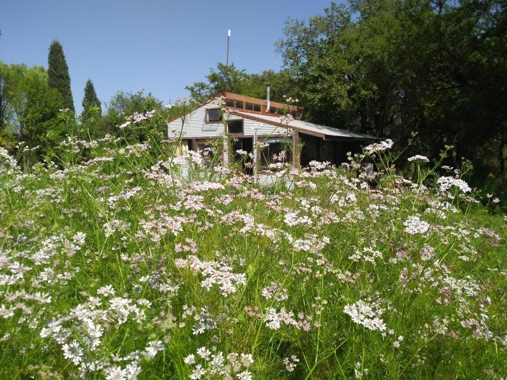 sOmOs nAtUraLeZa