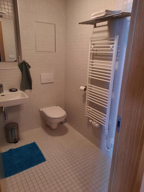 Koupelna v ubytování Apartmán u sjezdovky Filipovice