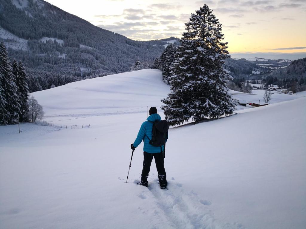 a person is cross country skiing in the snow at Jungholz Erlebnis in Jungholz