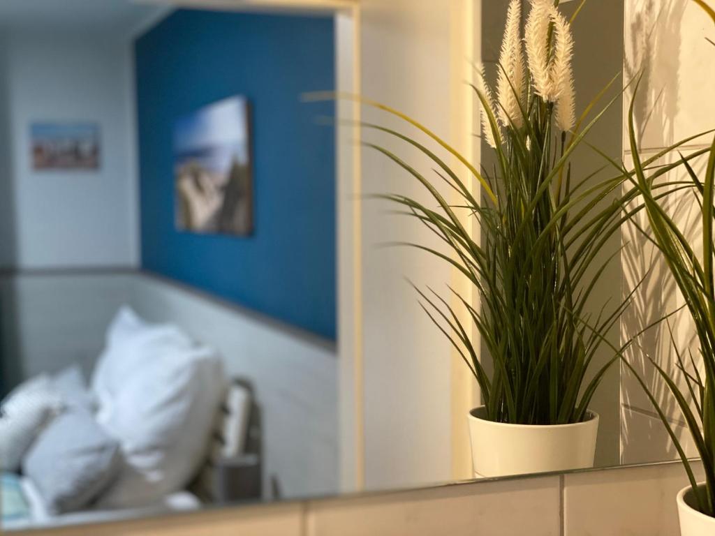 a mirror with two potted plants on a counter at Pension Wernicke-Das-Original in Berlin