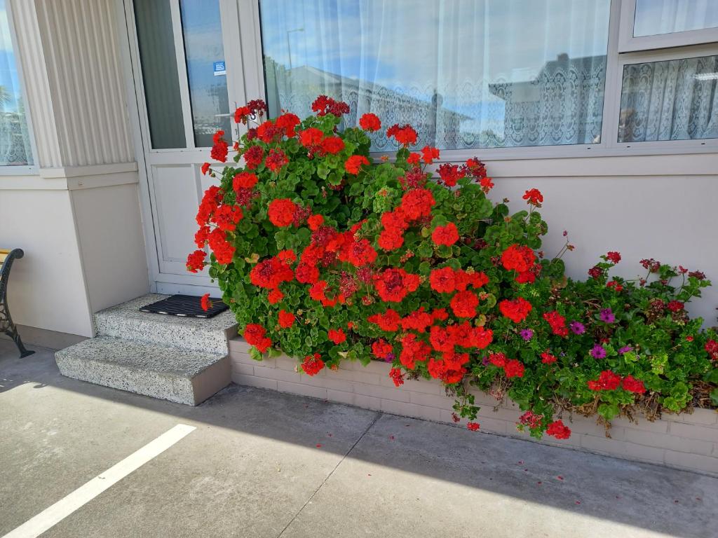 Comfort Inn Tayesta Motel - Resim 17