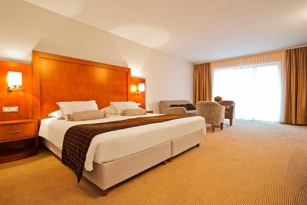 Spa & Wellness Hotel Pinia - 15