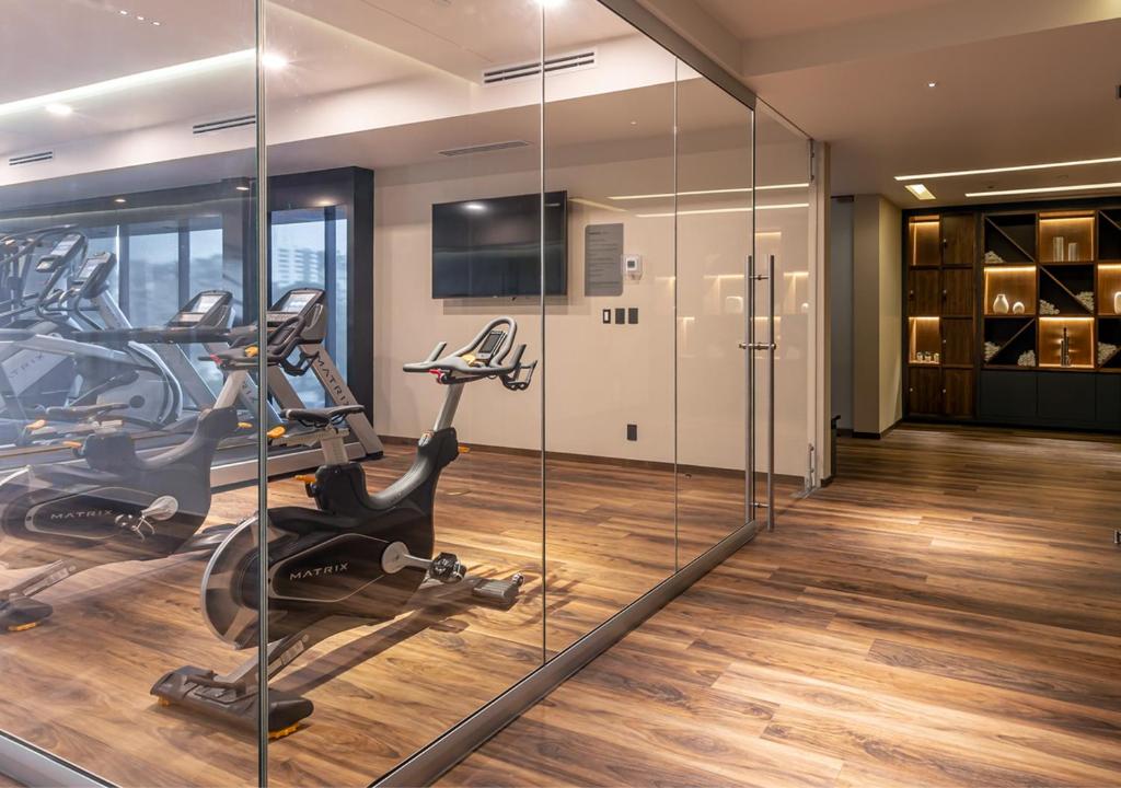 Fitness centrum a/nebo fitness zařízení v ubytování Hotel Real del Rio