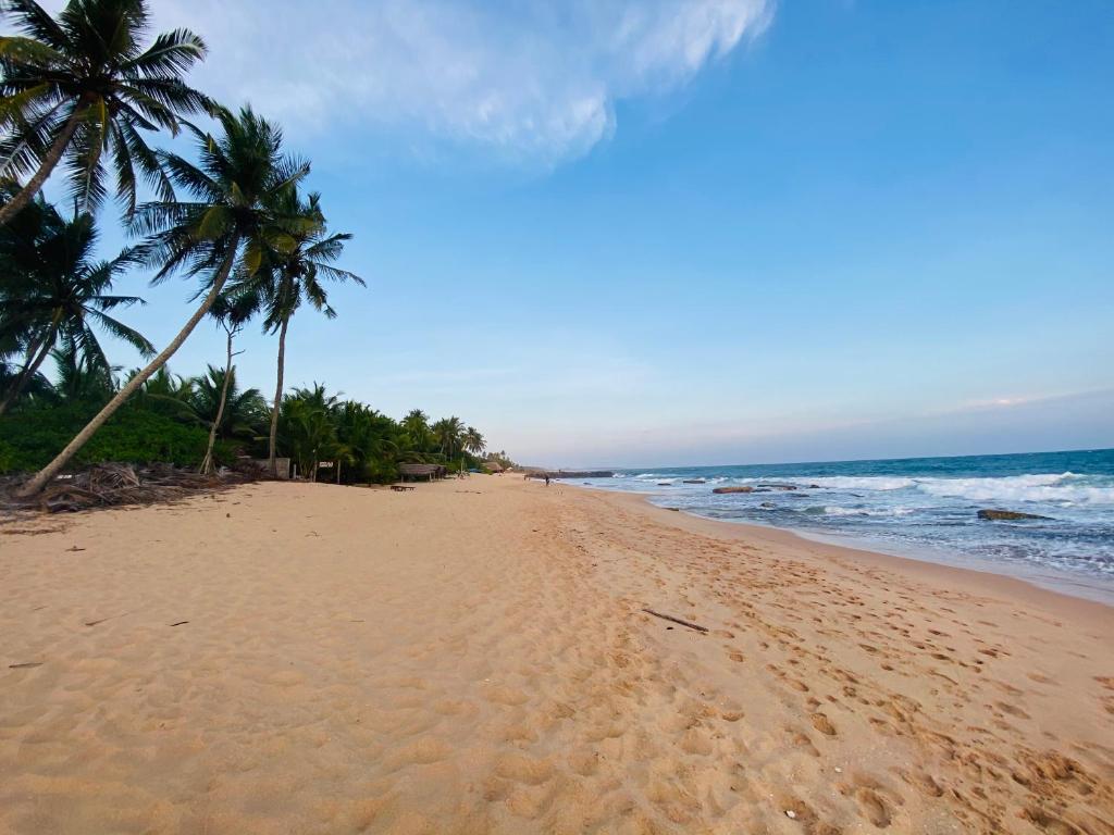 een zandstrand met palmbomen en de oceaan bij Little Pumpkin Cabanas & seafood restaurant in Tangalle