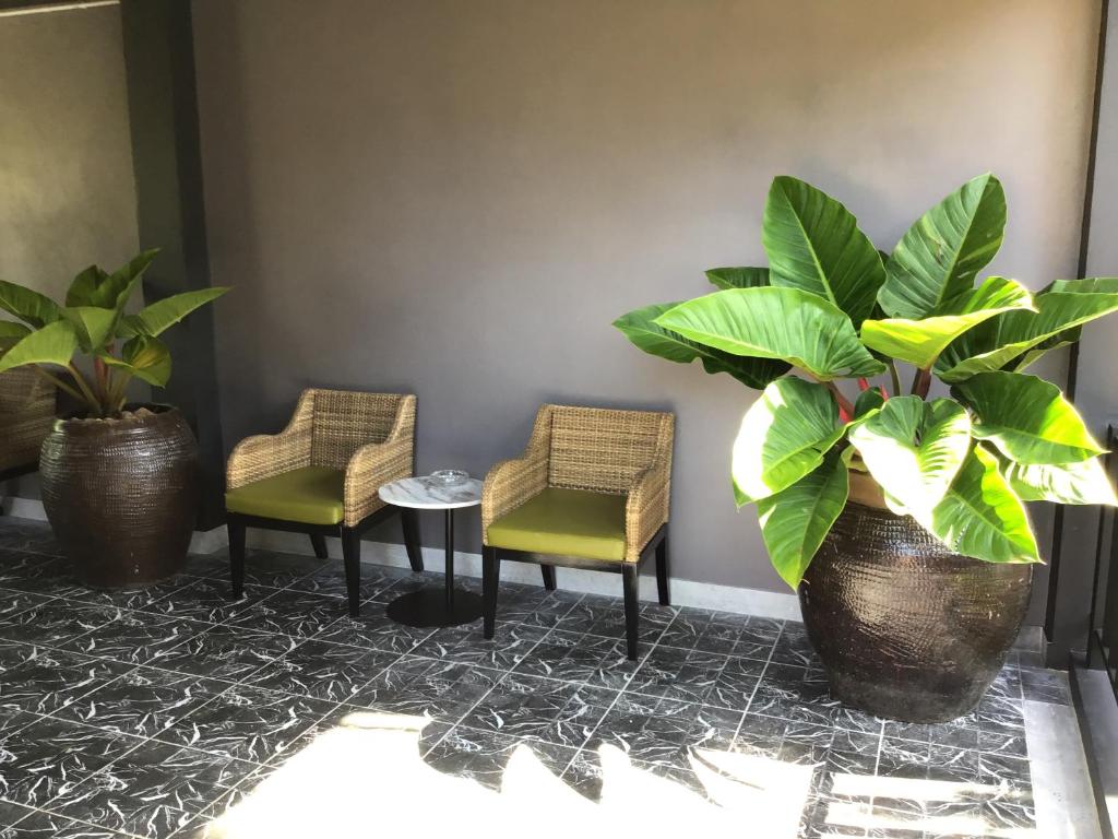 The Wynn Kohjum - 16