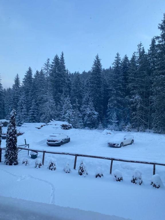 Casa dintre Brazi v zimě