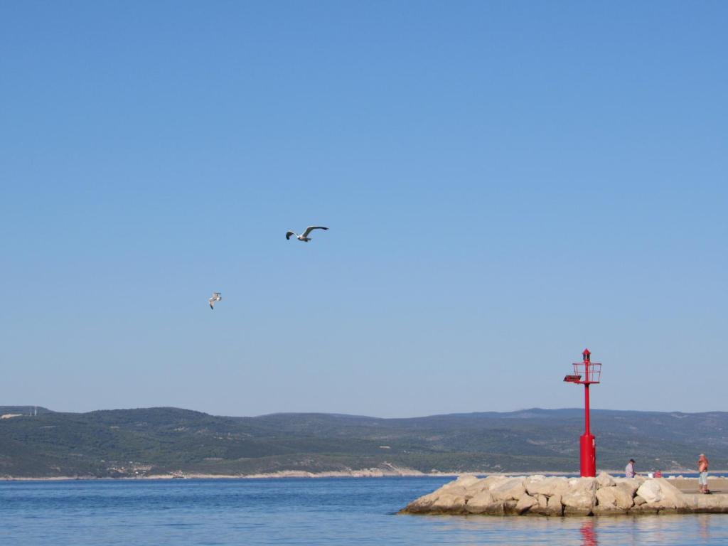 Príroda v okolí apartmánu