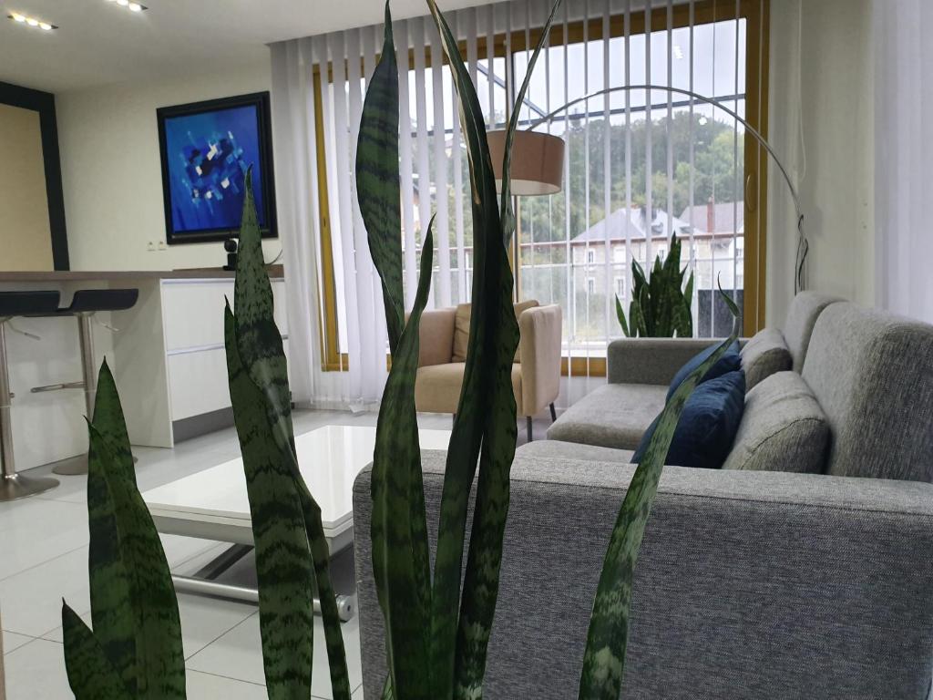 sala de estar con sofá y algunas plantas en Appart'Hôtel Luxapparts, en Besançon