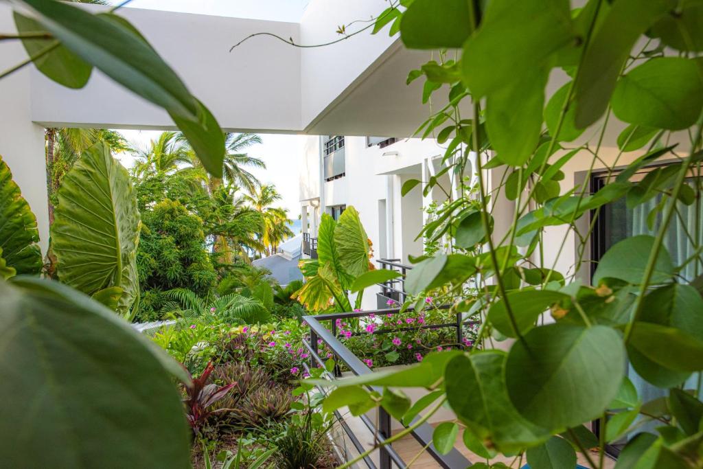 Zahrada ubytování Boutik Hôtel 2A - Adult Only