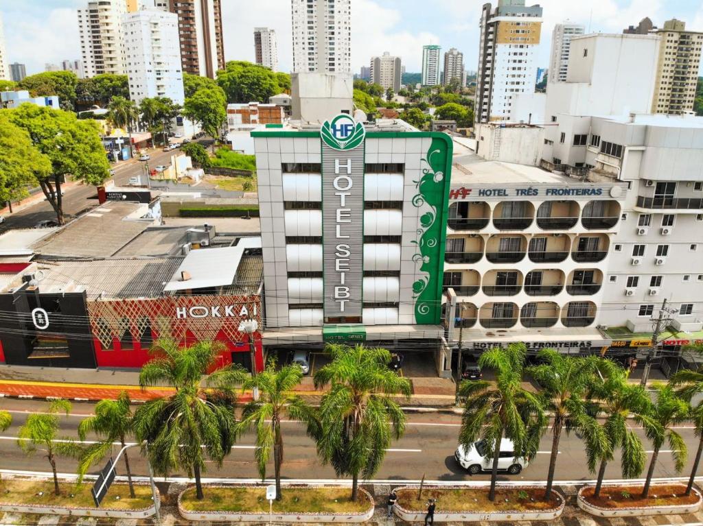 uitzicht op een stad met palmbomen en een gebouw bij Seibt Palace Hotel in Foz do Iguaçu