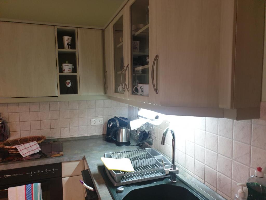 Ferienwohnung Feldberger Seenにあるキッチンまたは簡易キッチン