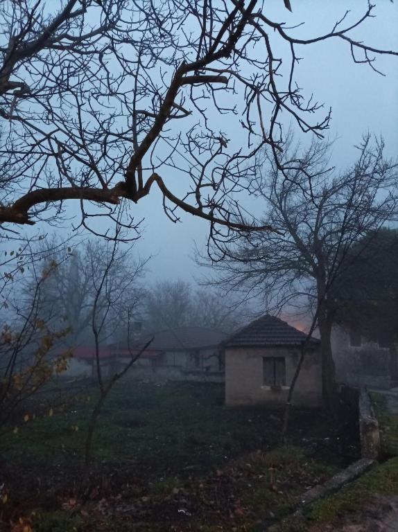 Fotografia z galérie ubytovania Guesthouse Elaia v destinácii Synikia Mesi Trikalon