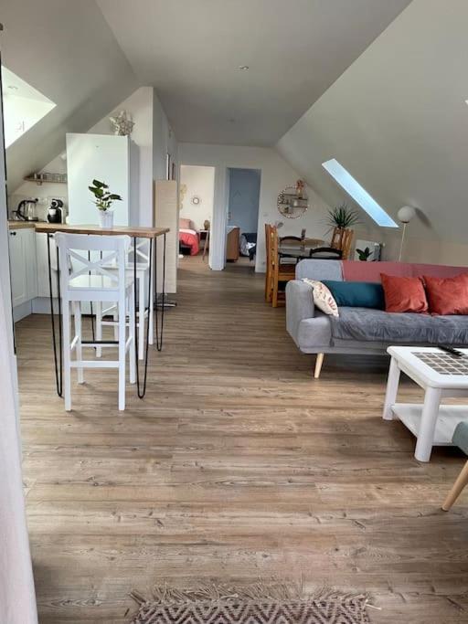 Appartement cosy sous les toits - 两卧室公寓