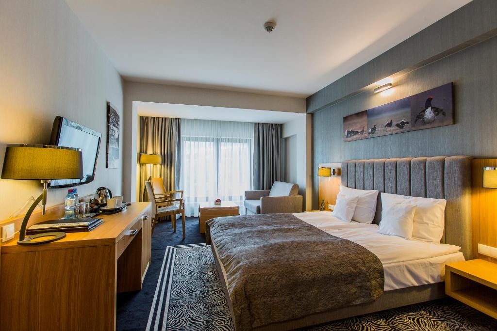 Hotel & Medi-Spa Biały Kamień - 17