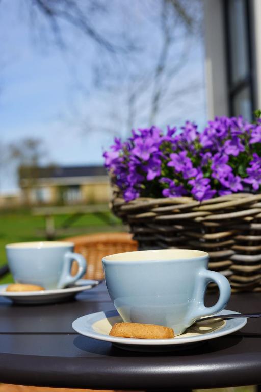Příslušenství pro přípravu čaje a kávy v ubytování B&B Piebengastate Welsrijp