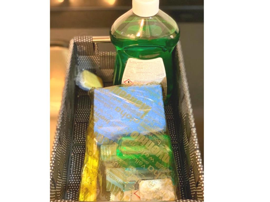 Estudio Príncipe David - VUT - 13