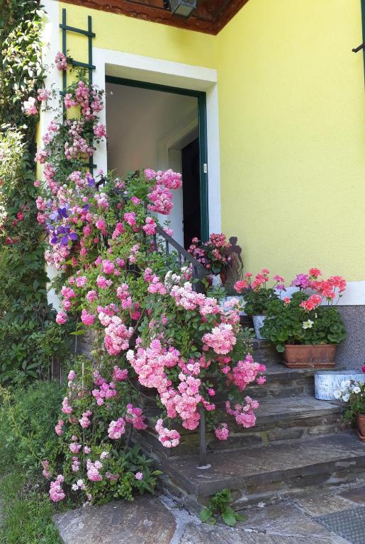 Zahrada ubytování Haus Lerchenreith